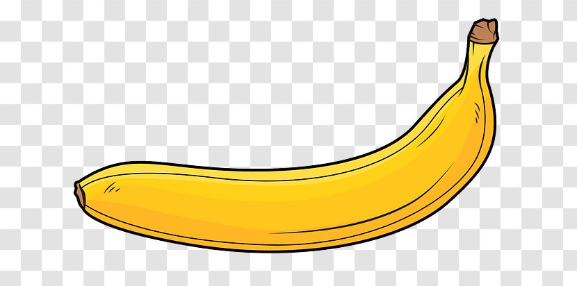 Banana Family Cooking Plantain Yellow Fruit - Food Plant Transparent PNG