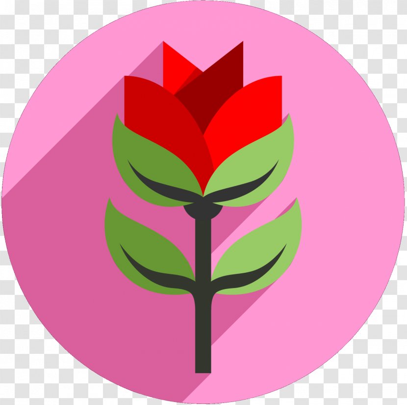 Clip Art Illustration Flowering Plant Leaf Tree - Symbol Transparent PNG