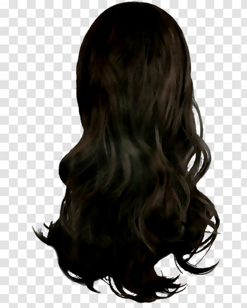 Black Hair Coloring Long Brown - Costume Transparent PNG