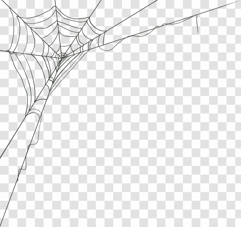 Spider Web Vector Graphics Image - Line Art Transparent PNG
