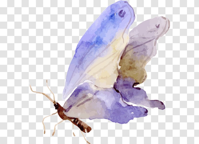 Butterfly Watercolor Painting Clip Art - Organism Transparent PNG