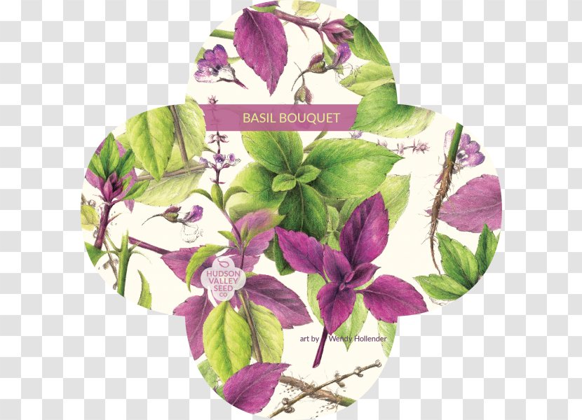 Cut Flowers Seed Company Basil - Flowering Plant Transparent PNG
