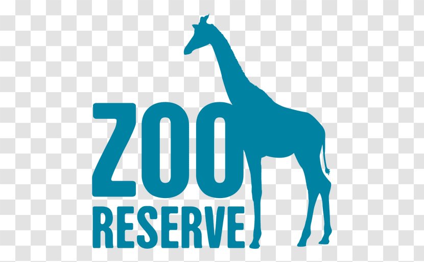 Giraffe Logo Zoo Animal Clip Art - Horse Transparent PNG