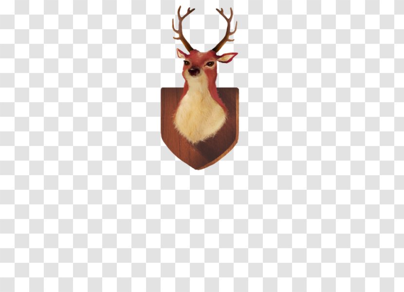 Reindeer Antler Animal - Deer - Head Transparent PNG