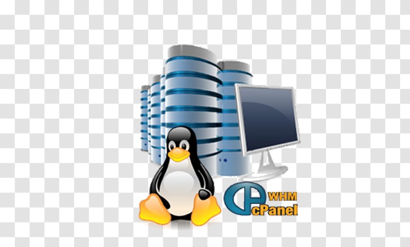 Website Development Web Hosting Service Reseller Internet Computer Servers - Flightless Bird - Linux Transparent PNG