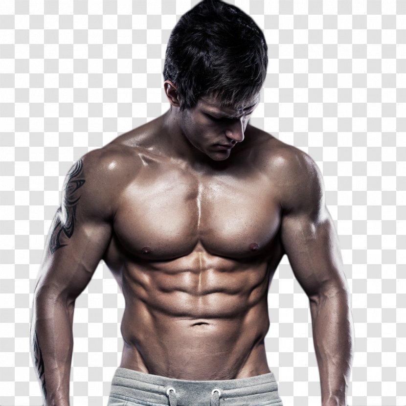 Rectus Abdominis Muscle Abdominal Exercise Electrical Stimulation Physical Abdomen - Flower - Q Transparent PNG