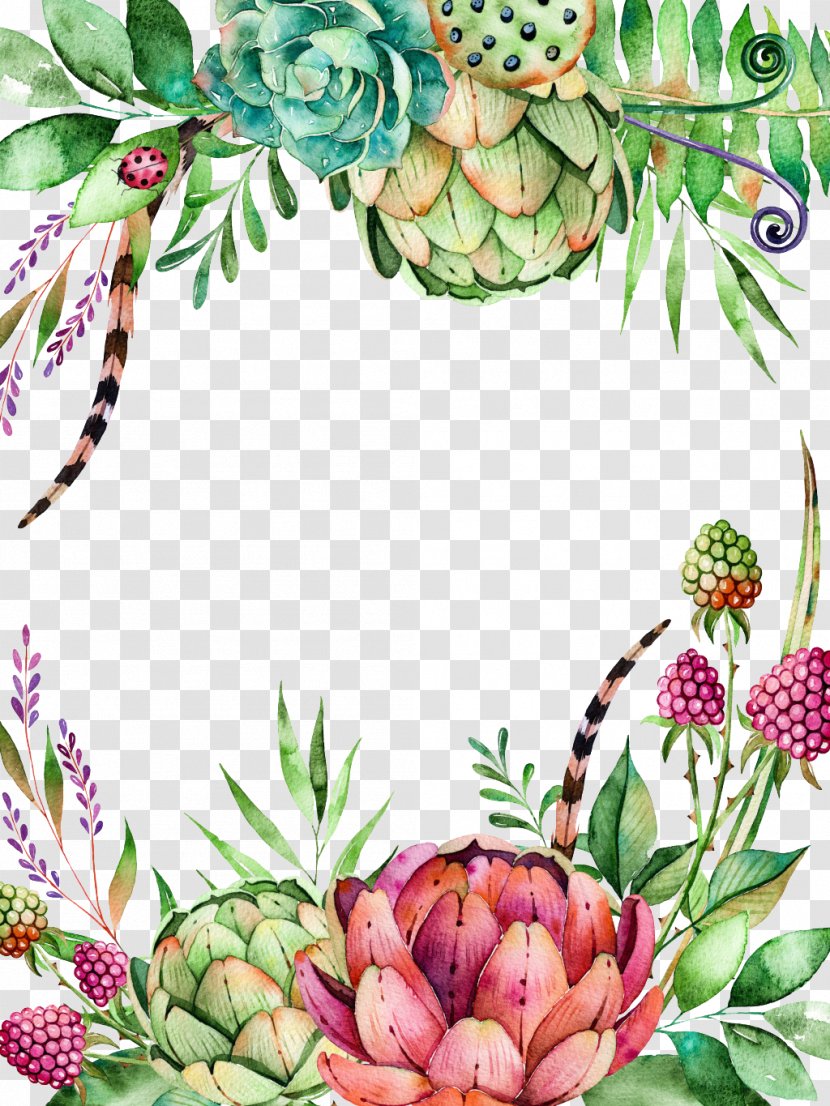 Succulent Plant Flower Watercolor Painting Cactaceae Branch - Stock Photography - Plants Transparent PNG