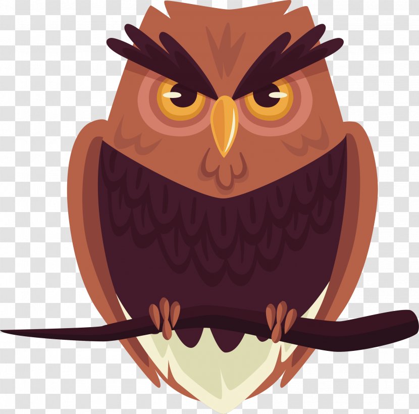 Owl Bird - Magic Transparent PNG