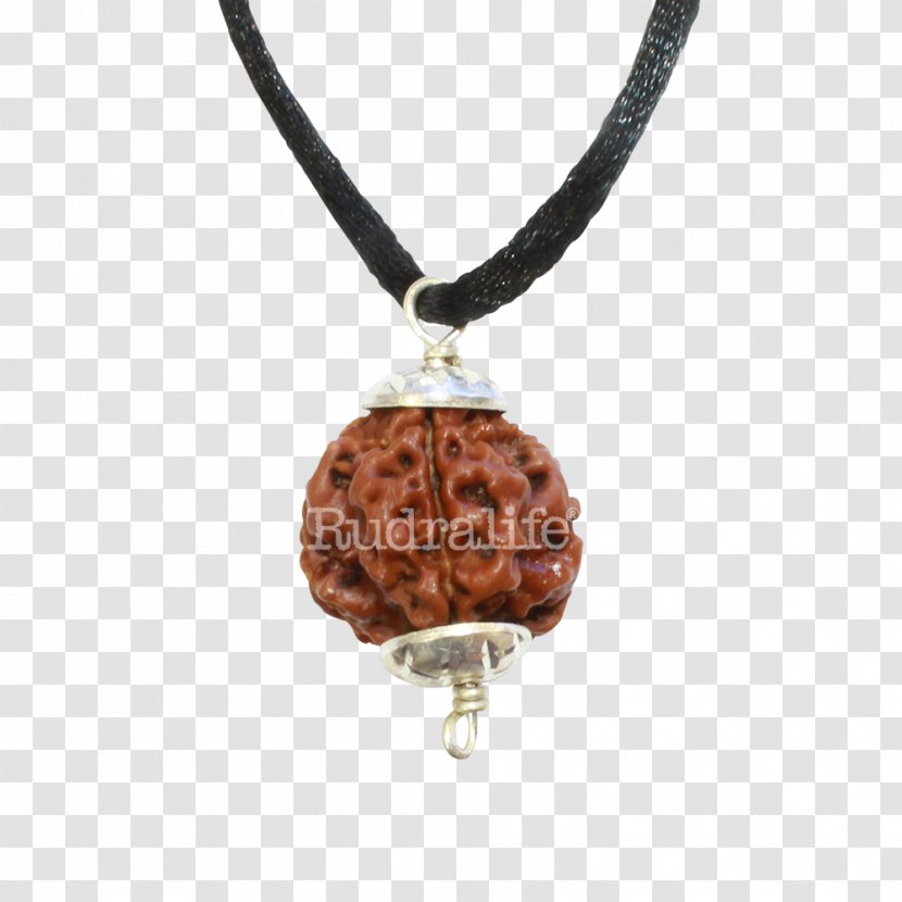 Rudraksha Locket Rudralife Necklace Jewellery - Buddhist Prayer Beads - Nazar Transparent PNG