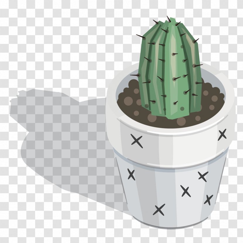Cactaceae Plant Download - Vector Round Cactus Transparent PNG