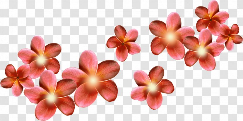 Flower Desktop Wallpaper Clip Art - Raster Graphics Transparent PNG