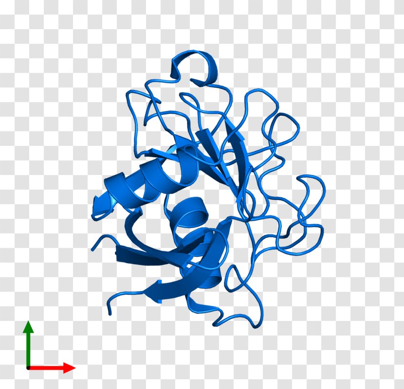 Line Art Graphic Design Clip - Organism - Peptidyl Transferase Transparent PNG