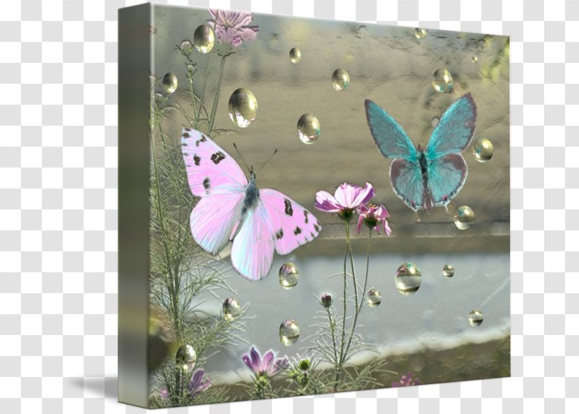 Picture Frames Gallery Wrap Canvas Art Printmaking - Glossy Butterflys Transparent PNG
