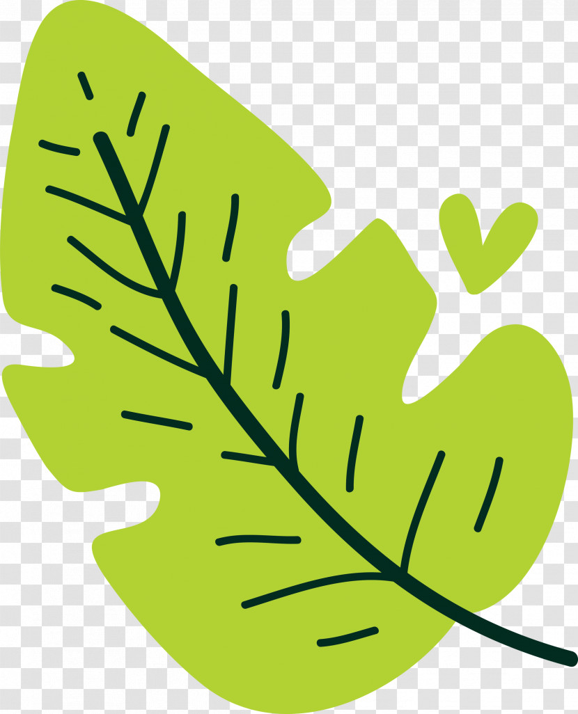 Plant Stem Leaf Green H&m Area Transparent PNG