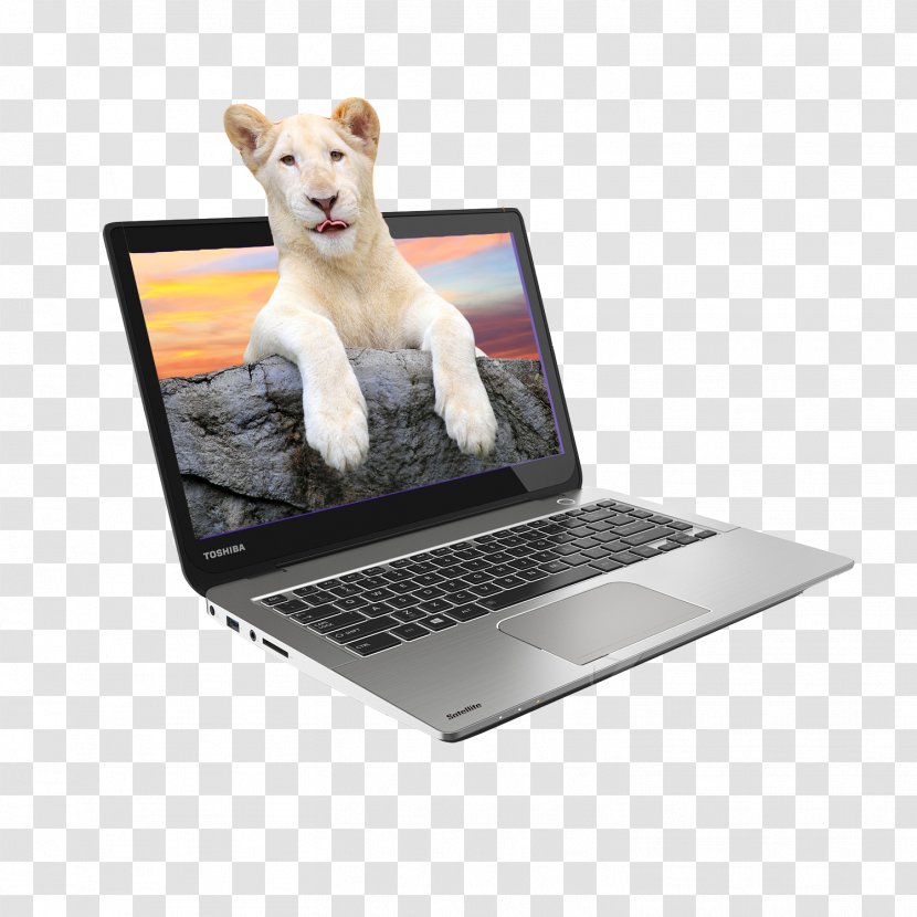 Laptop Intel Toshiba Satellite Device Driver - Technology - Lion Electronics Notebooks In Kind Transparent PNG