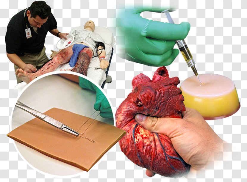 Medical Simulation Surgical Suture Medicine Surgery - Simulator - Hospital Transparent PNG