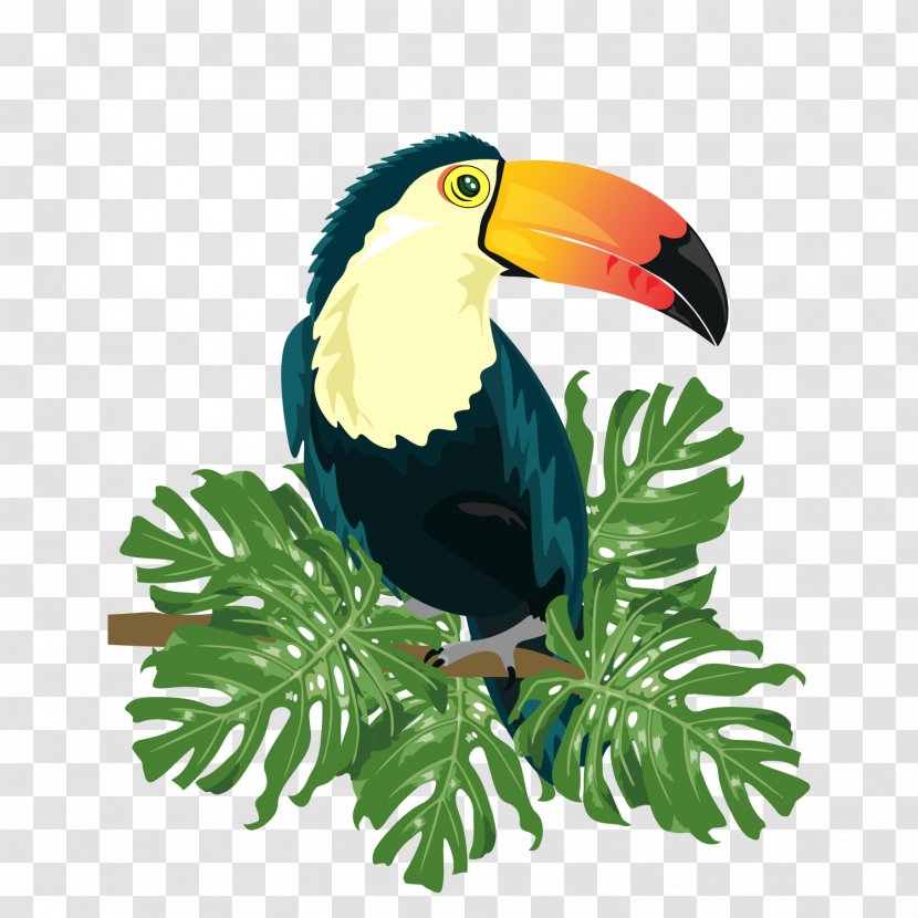Ramphastinae Bird Ramphastos Illustration - Wing - Vector Tropical Birds Transparent PNG