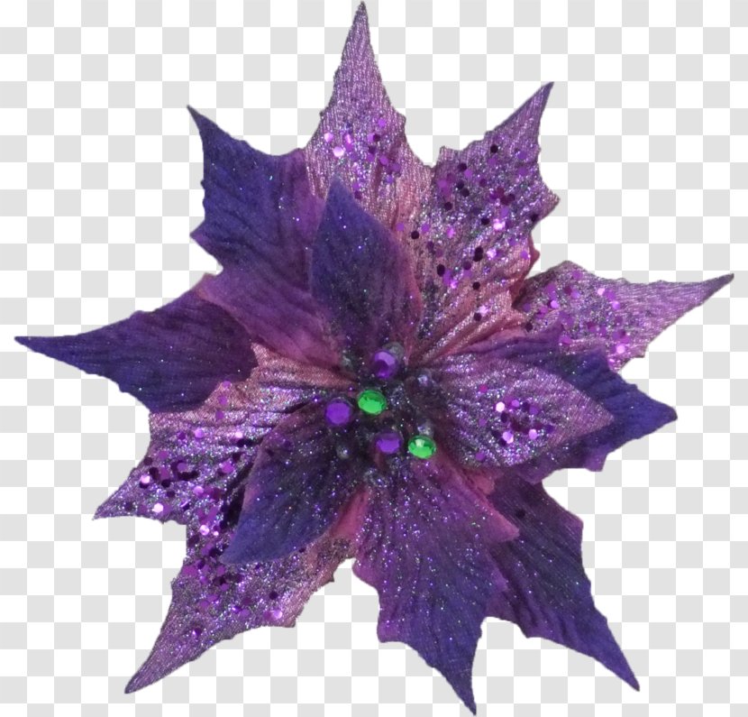Flower Purple Leaf - Plant - Poinsettia Clipart Transparent PNG