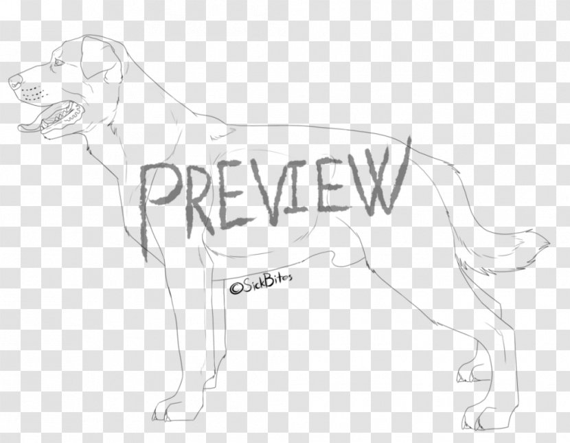 Dog Breed Drawing White Sketch Transparent PNG