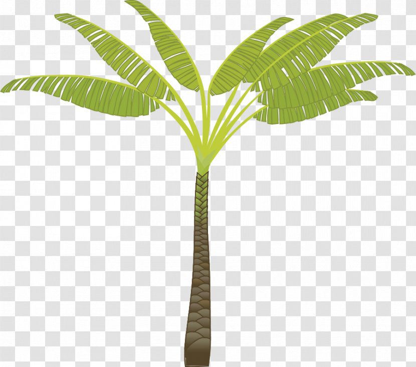 Arecaceae Tree Coconut Clip Art - Flowerpot - Free Vector Trees Transparent PNG