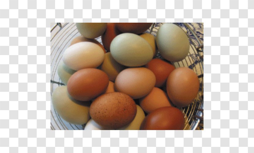 Egg - Ingredient Transparent PNG