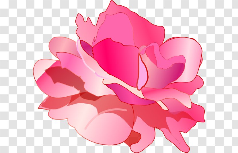 Rose Pink Drawing Clip Art - Roses Photo Transparent PNG