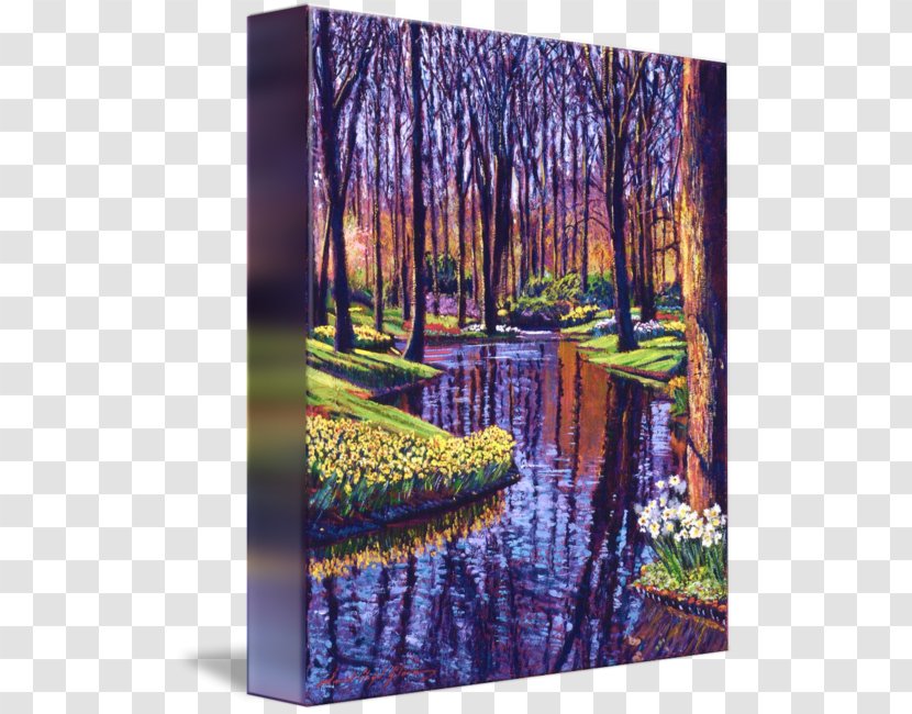 Bayou Painting Swamp Gallery Wrap Canvas - First Day Of Spring Transparent PNG
