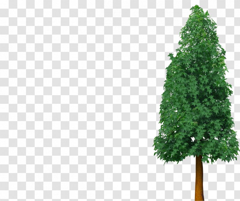 Tree Clip Art - Graphic Arts Transparent PNG