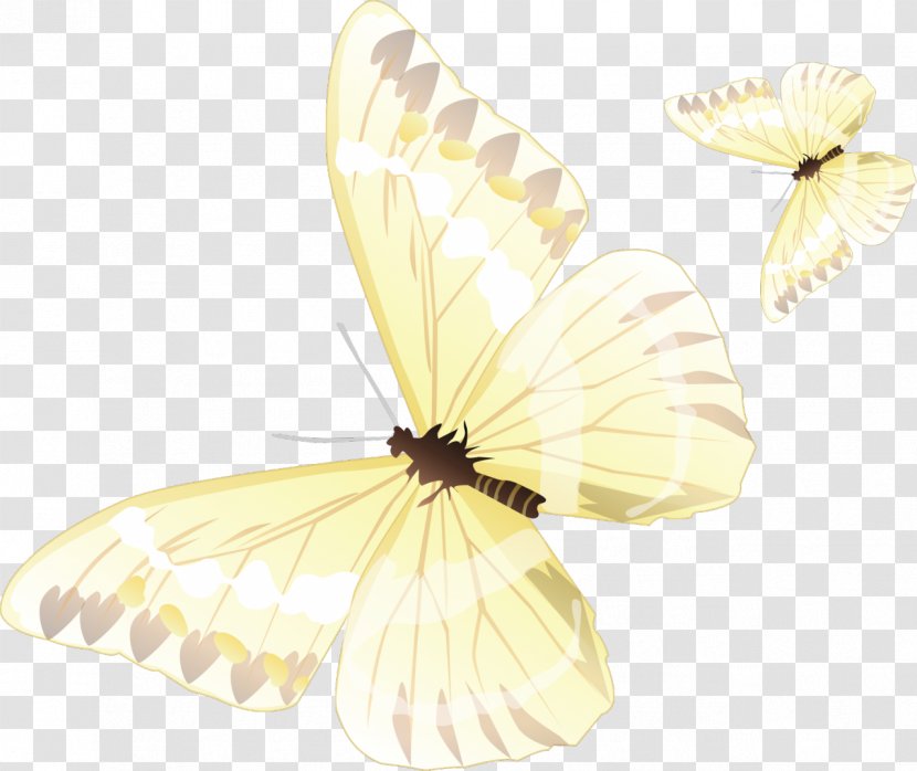 Butterfly Color Clip Art - Pollinator Transparent PNG