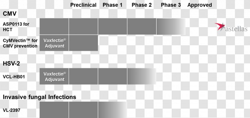 Graphic Design Document Line - Light Transparent PNG