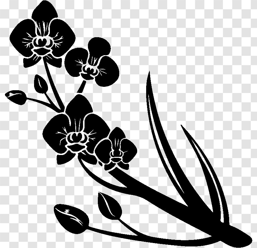 Orchids Flower Sticker Plants Vinyl Group - Large Duck Orchid - Phalaenopsis Fleur Transparent PNG