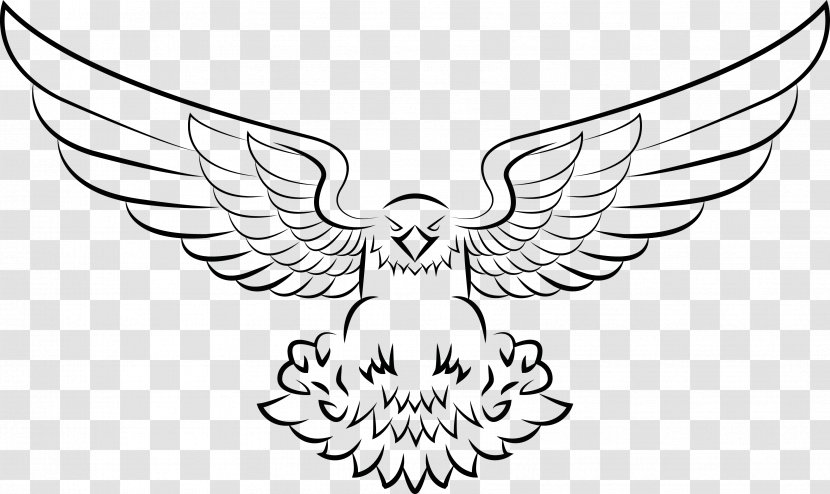 CrossFit Ridgewood Bald Eagle Drawing Clip Art - Symmetry Transparent PNG