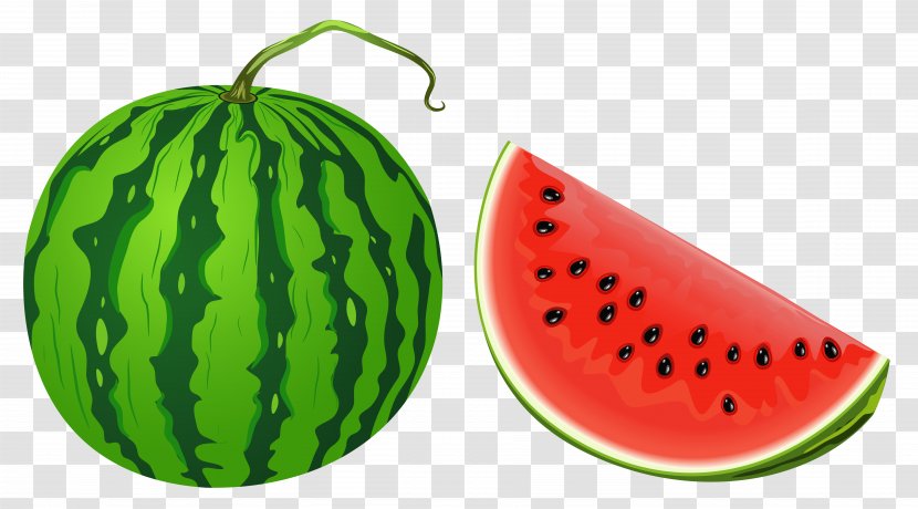 Watermelon Fruit Clip Art - Cucumber Gourd And Melon Family - Vector Clipart Image Transparent PNG