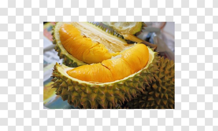 Durio Zibethinus Fruit Tree Orchard Thai Cuisine - Pork - Durian. Transparent PNG