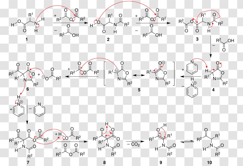 Dakin–West Reaction Acetylation Acylation Acetic Anhydride Mechanism - Anioi - Bitten Transparent PNG