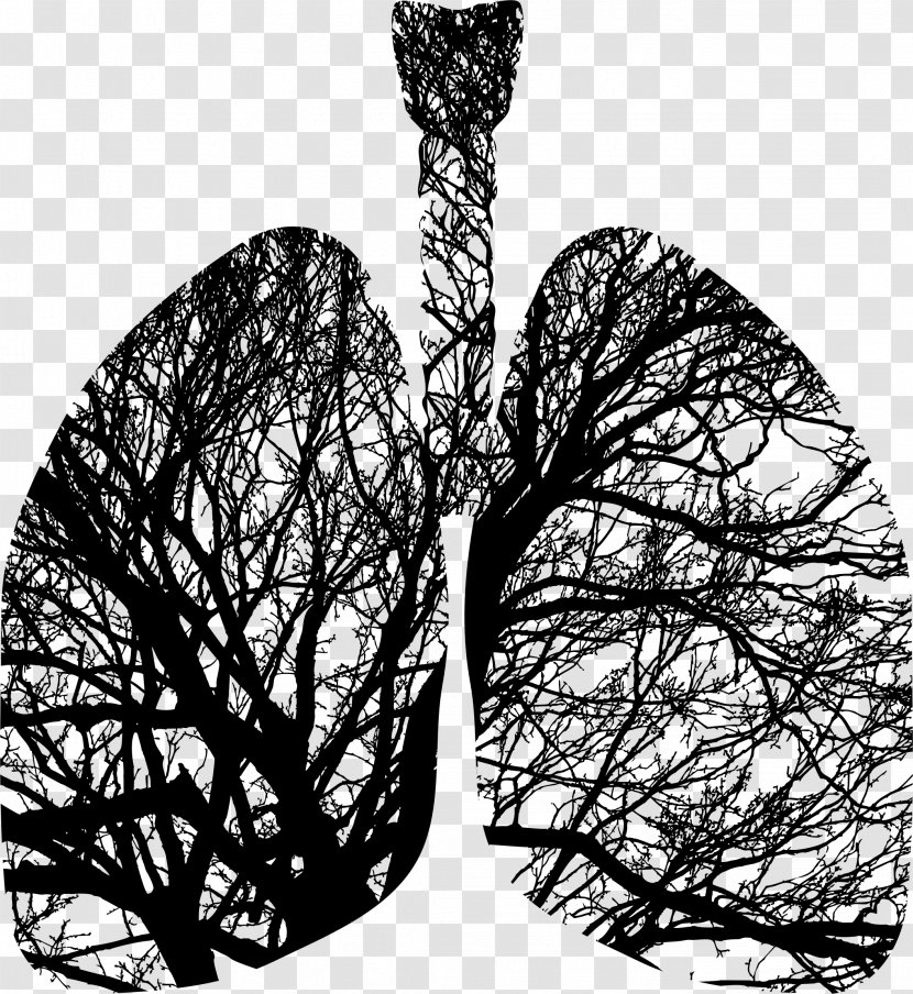 Tree Silhouette Lung Breathing - Trunk - Lungs Transparent PNG
