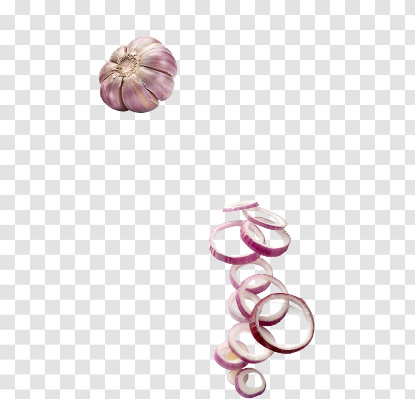 Onion Garlic Allium Fistulosum - Food - Creative Jewelry Cartoon Transparent PNG