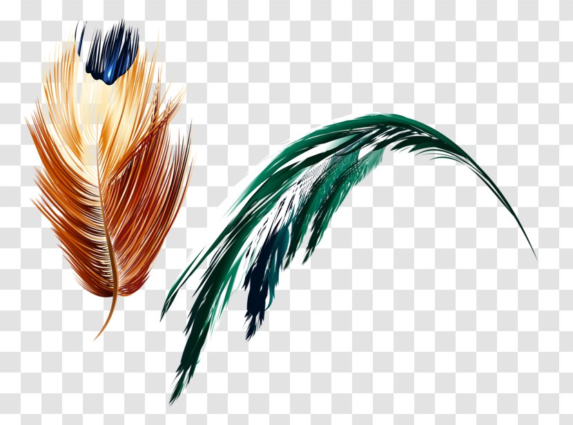 Feather Art Light - Arts Transparent PNG