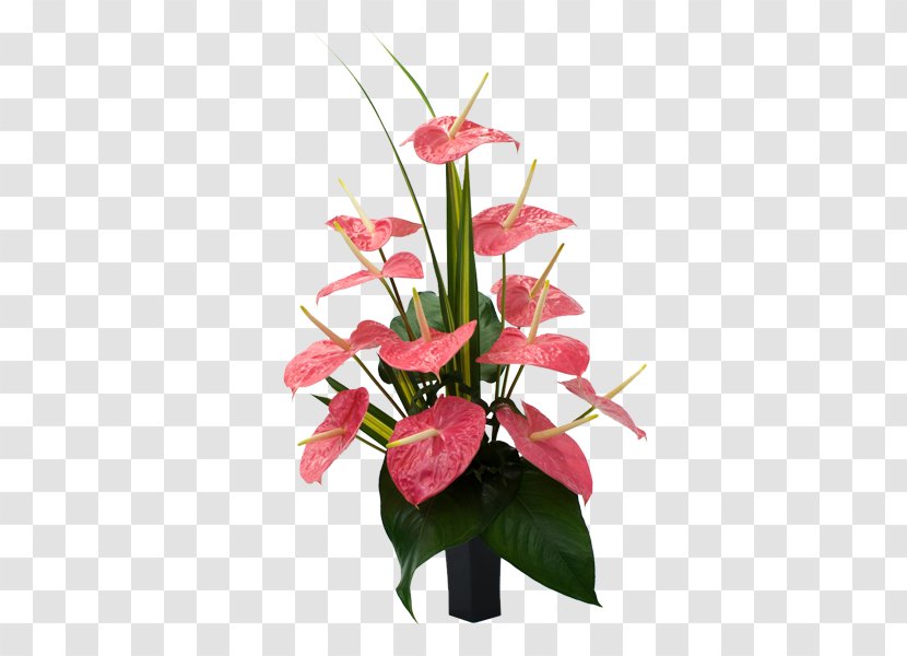 Hawaii Laceleaf Cut Flowers Bird Of Paradise Flower - Plant Stem - Hawaiian Transparent PNG
