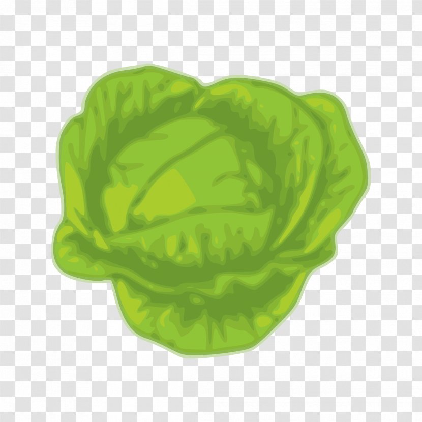 Greens Savoy Cabbage Vegetable Cauliflower - Collard Transparent PNG