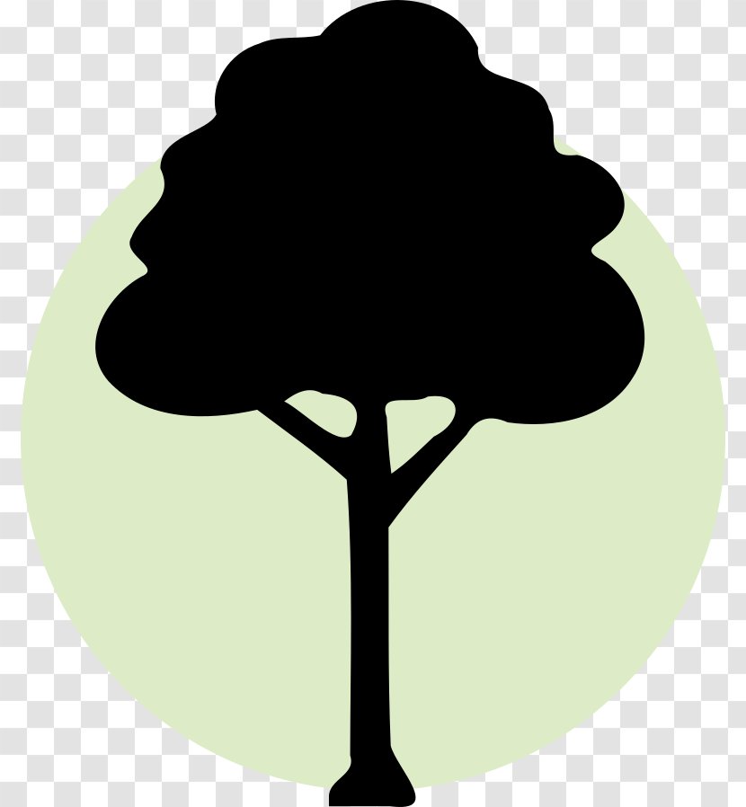 Tree Clip Art - Oak Transparent PNG