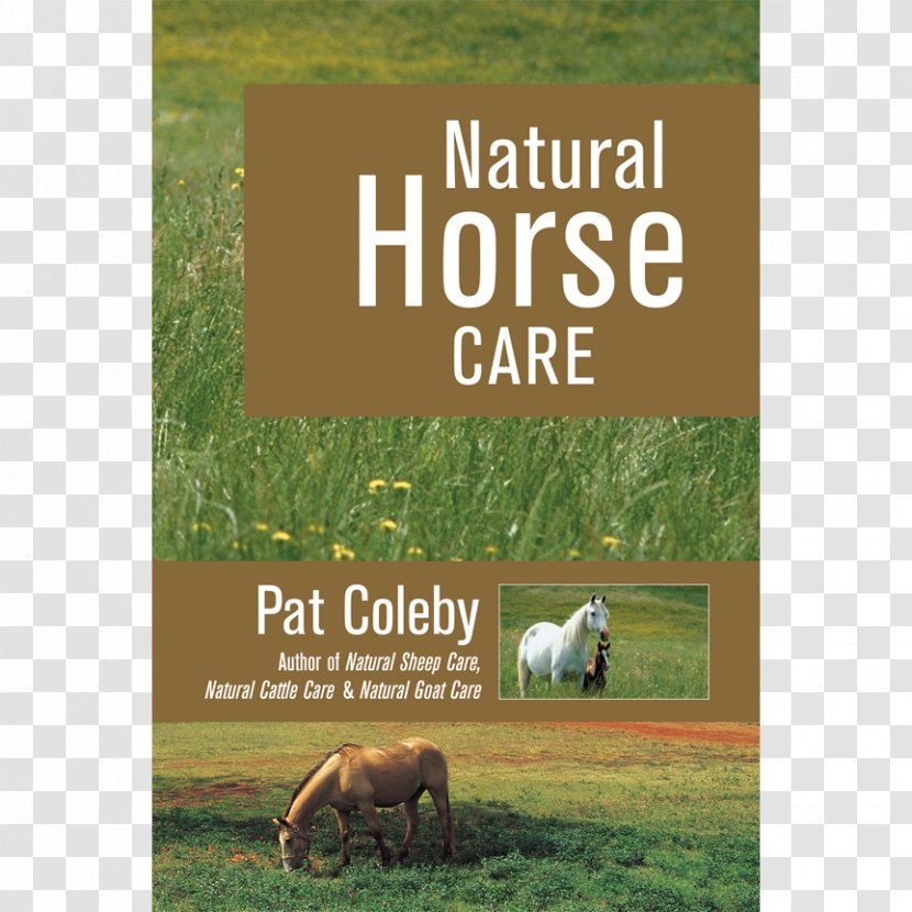 Natural Horse Care Cattle Healthy Naturally Amazon.com - Pasture Transparent PNG