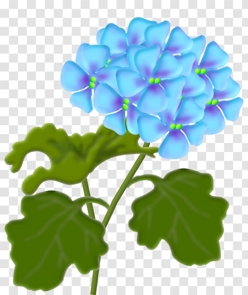 Flower Lantana Camara Clip Art - Geranium - 14 Transparent PNG