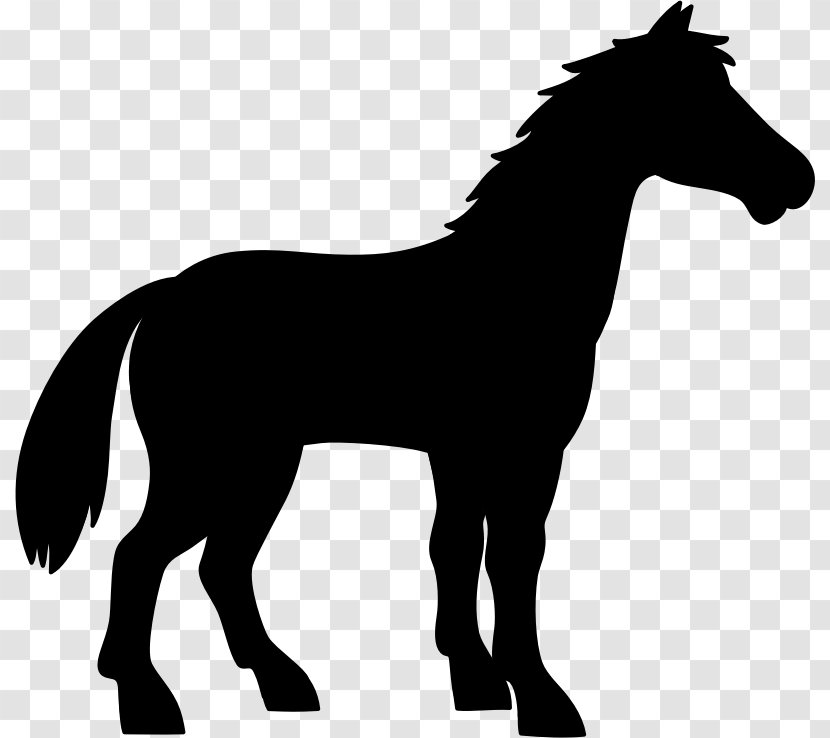 Mule Vector Graphics Donkey Silhouette Image - Shetland Pony - Mare Transparent PNG