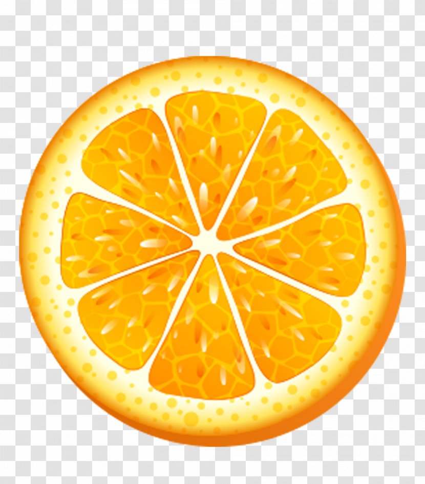 Clip Art Image Valencia Orange - Vegetarian Cuisine - Lemon Slice Transparent PNG
