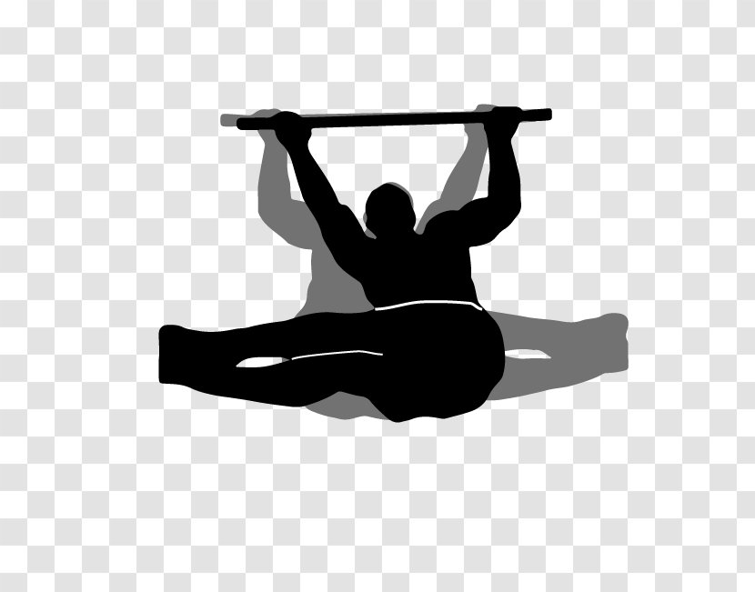 Abdomen Calisthenics Crus Physical Fitness Shoulder - Silhouette - Cartoon Transparent PNG
