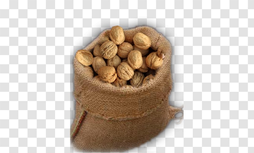 Walnut Sarıgüzel News Nuts - President Of Turkey Transparent PNG