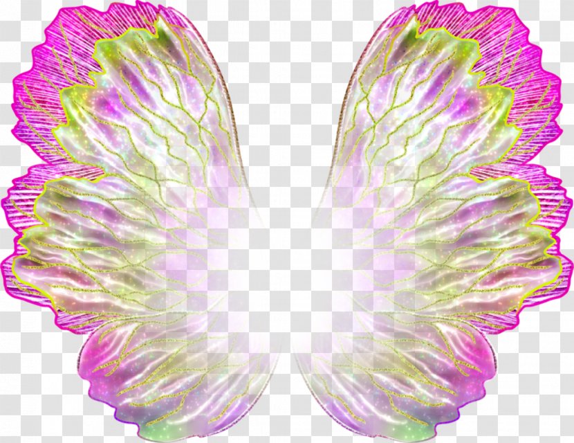 Flora Roxy Tecna Musa Aisha - Wing - Creative Wings Photos Transparent PNG
