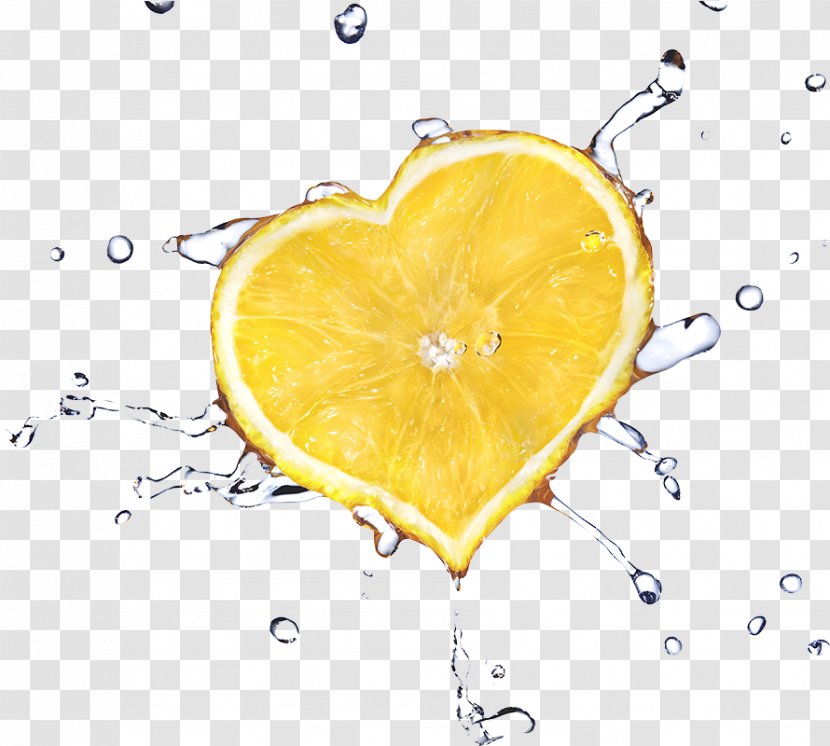 Lemon Juice - Citric Acid Plant Transparent PNG