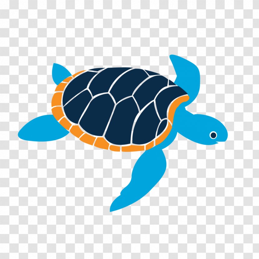 Island School Gift Card Student Loggerhead Sea Turtle - Essay Transparent PNG